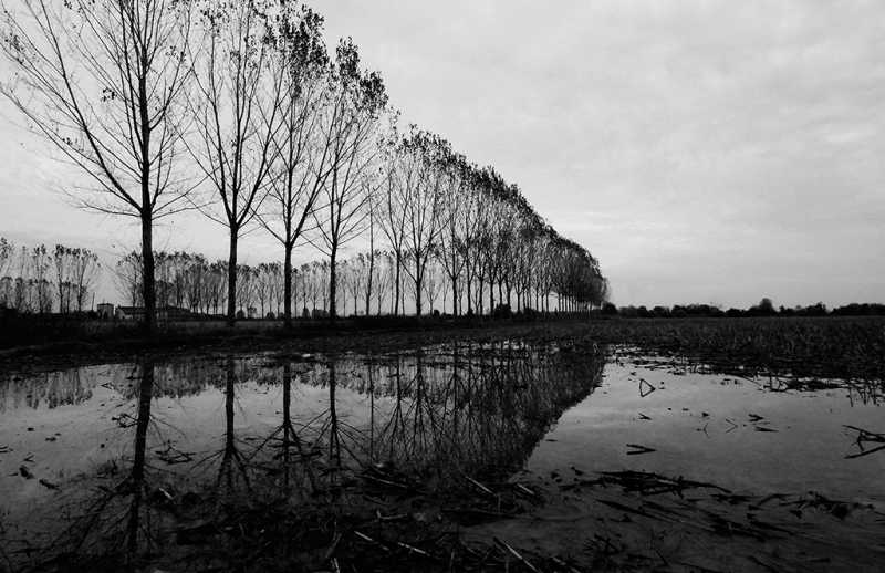Clicca per l'immagine full size