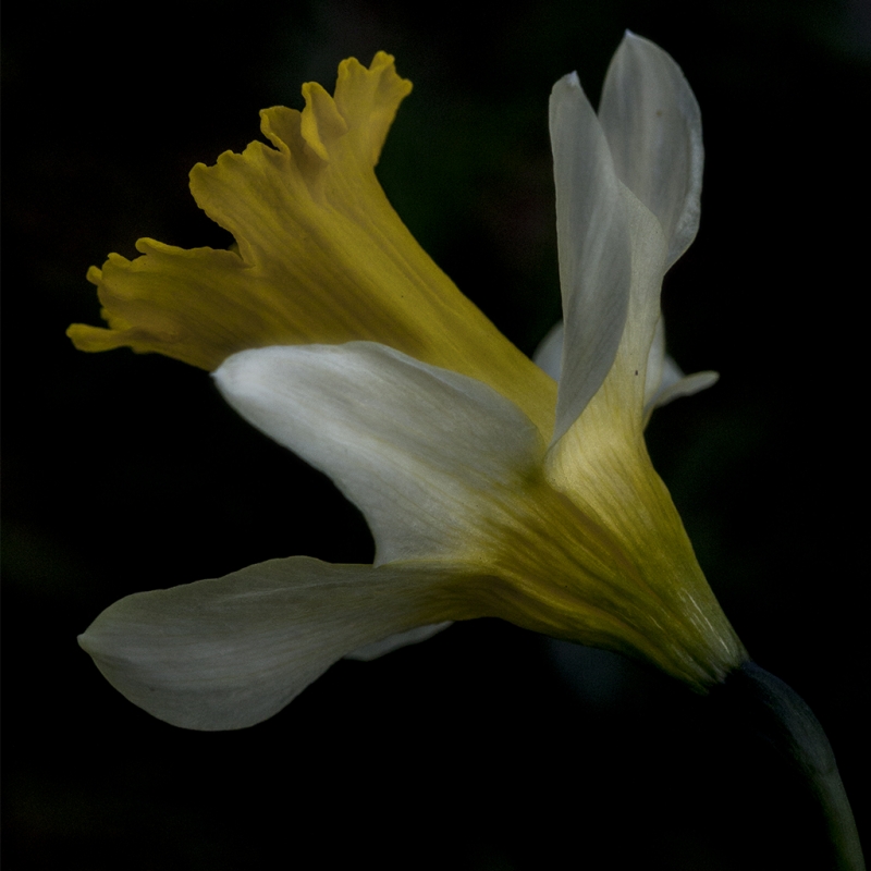 Clicca per l'immagine full size