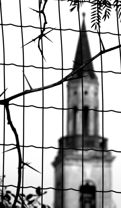 Clicca per l'immagine full size