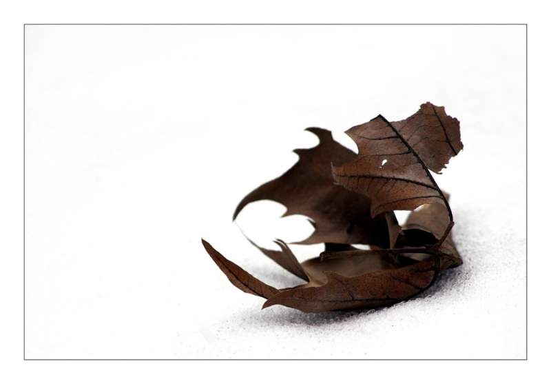 Clicca per l'immagine full size