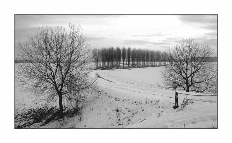 Clicca per l'immagine full size