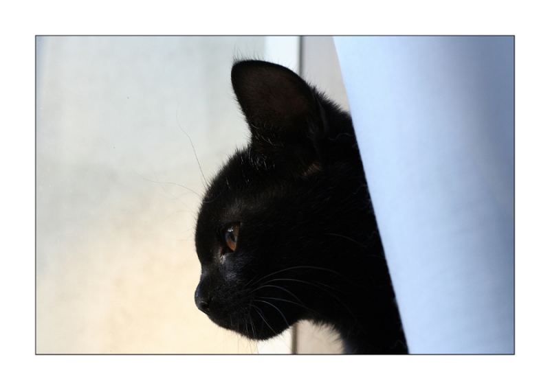 Clicca per l'immagine full size