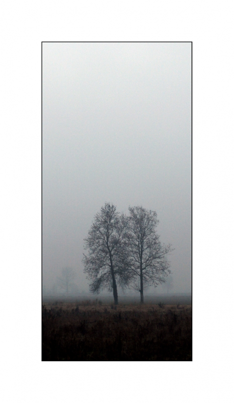 Clicca per l'immagine full size