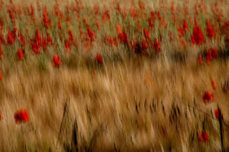 Clicca per l'immagine full size