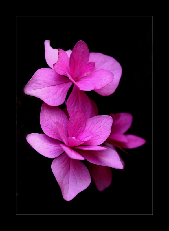 Clicca per l'immagine full size