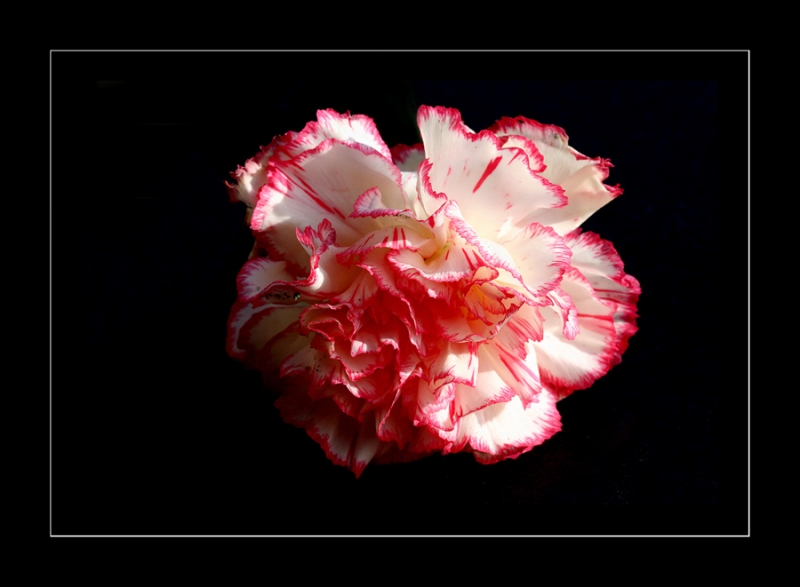Clicca per l'immagine full size