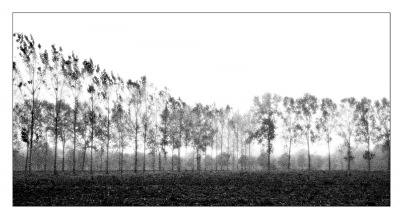Clicca per l'immagine full size