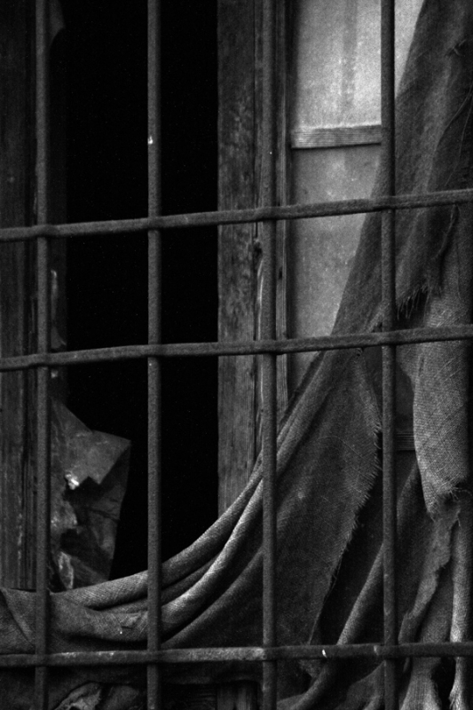 Clicca per l'immagine full size