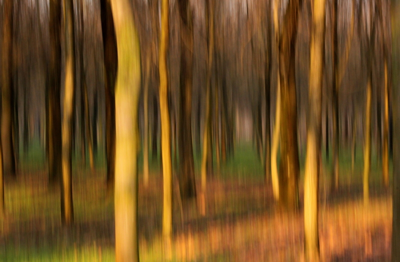 Clicca per l'immagine full size