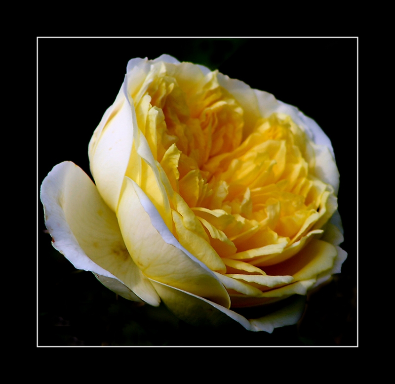 Clicca per l'immagine full size