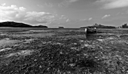 Nome File=1714______.jpg
Dimensione File=247KB
Dimensioni=900x527
Data aggiunta=Ago 10, 2011 1714______.jpg