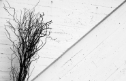 2015-03-29_001_261copia1.jpg 2015-03-29_001_261copia1.jpg