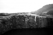 Nome File=2015-04-18_001_347copia.jpg
Dimensione File=363KB
Dimensioni=1024x683
Data aggiunta=Mag 19, 2015 2015-04-18_001_347copia.jpg