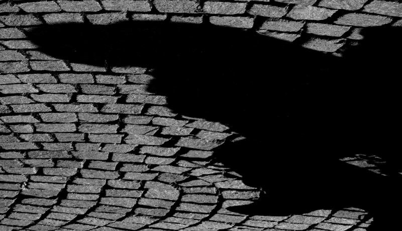 Clicca per l'immagine full size