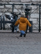 Immagine-125.jpg Immagine-125.jpg
