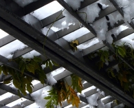 Immagine_3093.jpg Immagine_3093.jpg