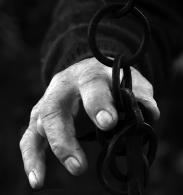 Immagine_31394.jpg