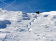 Immagine_3140841.jpg Immagine_3140841.jpg
