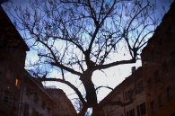 Immagine_314088.jpg Immagine_314088.jpg