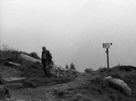 img018.jpg