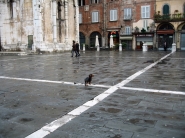 lucca_ambra_022_[800x600]_[800x600].jpg
