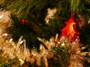 Nome File=natale.jpg
Dimensione File=335KB
Dimensioni=800x600
Data aggiunta=Dic 07, 2007 natale.jpg