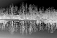 Nome File=rifletti.jpg
Dimensione File=220KB
Dimensioni=800x532
Data aggiunta=Dic 29, 2007 rifletti.jpg
