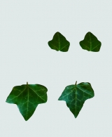 Lue___Lei.jpg