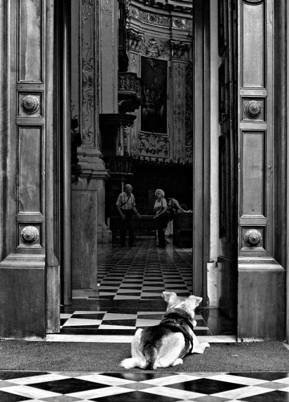 Clicca per l'immagine full size