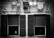 finestre~0.jpg finestre~0.jpg