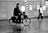 Nome File=pedalando.jpg
Dimensione File=303KB
Dimensioni=726x497
Data aggiunta=Dic 01, 2007 pedalando.jpg