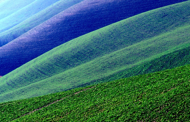 Clicca per l'immagine full size