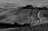 Nome File=Aratura.jpg
Dimensione File=294KB
Dimensioni=796x520
Data aggiunta=Nov 22, 2007 Aratura.jpg