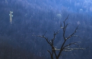 L_albero-d_acciaio.jpg