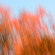 DSC_0134.jpg