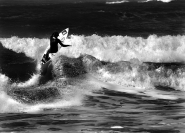 Surf_1.jpg