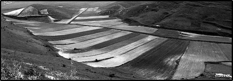 Clicca per l'immagine full size