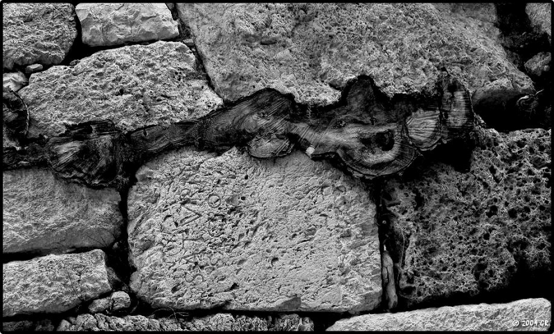 Clicca per l'immagine full size