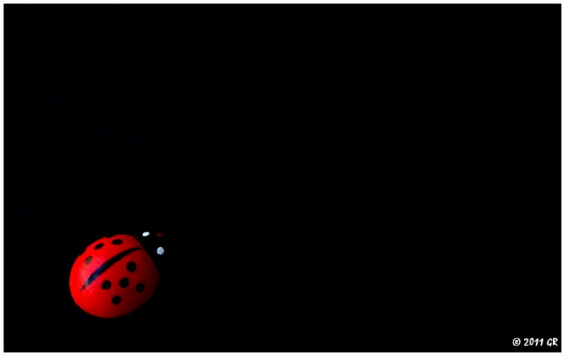 Clicca per l'immagine full size