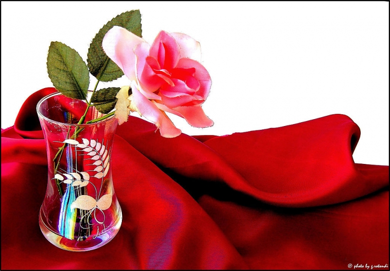 Clicca per l'immagine full size