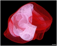 Astrazione_14.jpg Astrazione_14.jpg