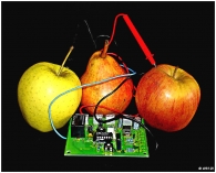 Natura_e_tecnologia.jpg