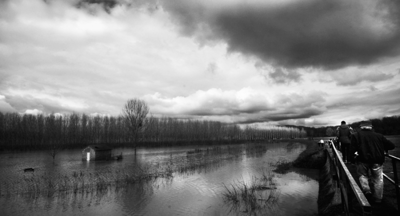 Clicca per l'immagine full size