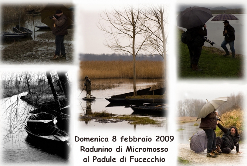 Clicca per l'immagine full size