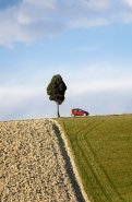 Nome File=Bag_s-tree-and-red-car.jpg
Dimensione File=330KB
Dimensioni=524x800
Data aggiunta=Ott 21, 2007 Bag_s-tree-and-red-car.jpg
