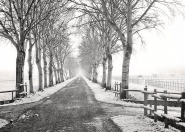 Filename=viale_del_maneggio_imbiancato.jpg
Filesize=166KB
Dimensions=730x524
Date added=Dec 09, 2007 viale_del_maneggio_imbiancato.jpg