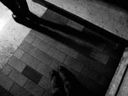 Filename=DSCN0911_2bn_fli.jpg
Filesize=335KB
Dimensions=1200x900
Date added=Jan 26, 2015 DSCN0911_2bn_fli.jpg