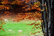Filename=DSC_8686_02_face_mic_fli.jpg
Filesize=278KB
Dimensions=1200x799
Date added=Oct 17, 2014 DSC_8686_02_face_mic_fli.jpg
