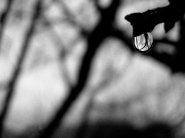 ad789264-23bb-4883-aa4a-_flickr_micromosso.jpg