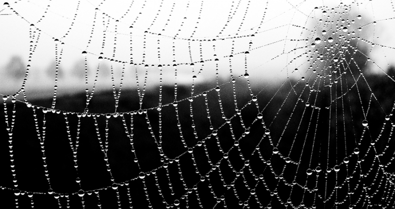 Clicca per l'immagine full size